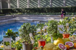 Agrumi 2026 Villa Necchi Campiglio