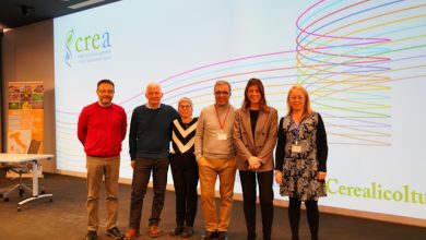 Giornata del mais 2026