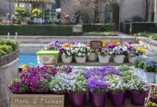 Soffio di Primavera a Villa Necchi