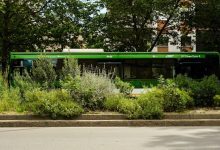 Milano Green Circle 90-91