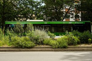 Milano Green Circle 90-91