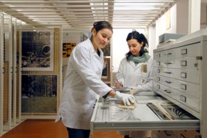 MUFOCO archivio