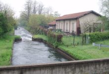 Giornate FAI per le scuole Riserva Naturale Bosco Vanzago