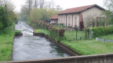 Giornate FAI per le scuole Riserva Naturale Bosco Vanzago