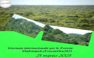Giornata Internazionale per le Foreste 2025