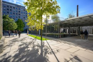 Politecnico di Milano studenti