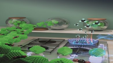 CO2 Politecnico di Milano ACS Catalysis