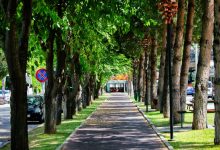 Isole di calore urbane