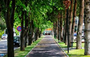Isole di calore urbane