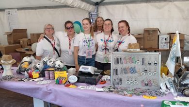 Panda a Pandino 2026