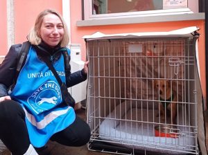 Box Amici di strada compagni di vita