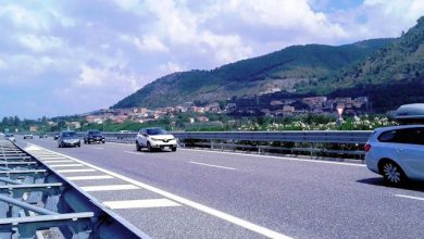 anas bollino nero estate