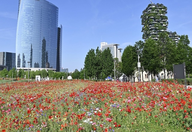 Garante del Verde Milano
