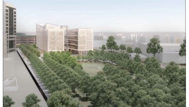 Natta nord rendering