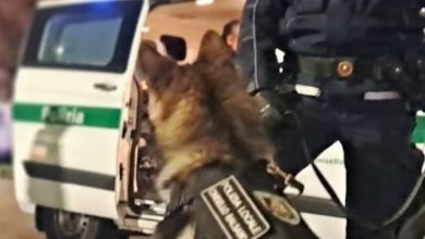 unit&agrave; cinofila Cinisello Balsamo