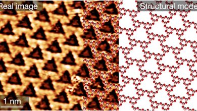 bidimensionale di ossido di boro