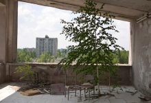 Museo di Storia Naturale mostra Chernobyl