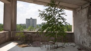 Museo di Storia Naturale mostra Chernobyl