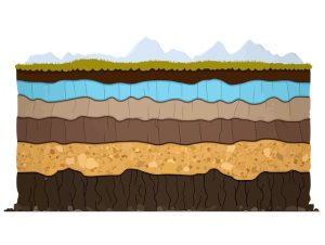Giornata Mondiale del Suolo CREA 2025
