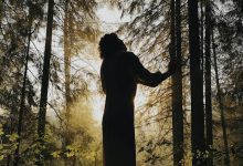 Terapia forestale assistita