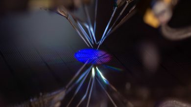 chip intelligente Politecnico di Milano