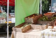 Food Policy mercati agricoli Milano