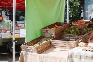 Food Policy mercati agricoli Milano