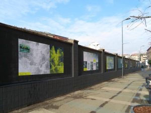 MUDEC Il senso della neve