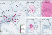 Origine dei legni utilizzati da Antonio Stradivari