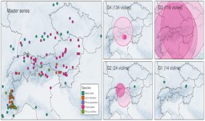 Origine dei legni utilizzati da Antonio Stradivari