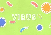 sorveglianza malattie infettive