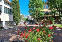 Particolare del Cortile Interno della Scuola Tommaseo