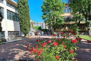 Particolare del Cortile Interno della Scuola Tommaseo