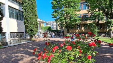 Particolare del Cortile Interno della Scuola Tommaseo