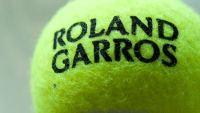 pallina Roland Garros