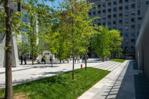 FAO e Politecnico di Milano
