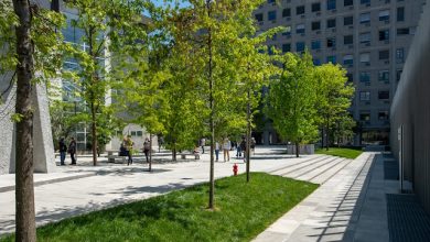 FAO e Politecnico di Milano