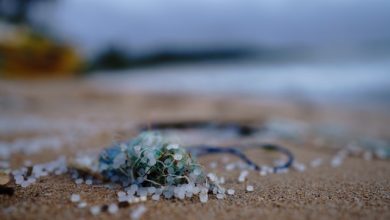 plastiche e microplastiche