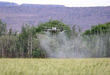 CREAfuturo tecnologia in agricoltura