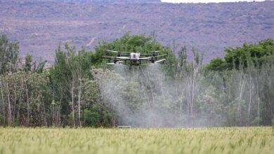CREAfuturo tecnologia in agricoltura