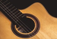JAZZaltro chitarra gipsy