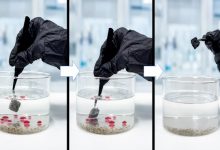 scarti di sughero per depurare l’acqua