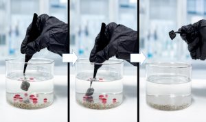 scarti di sughero per depurare l’acqua