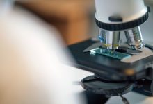 Fentanyl test