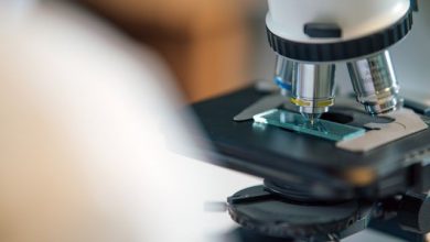 Fentanyl test