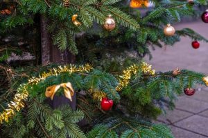 Natale degli Alberi