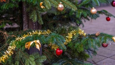 Natale degli Alberi