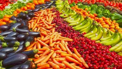 agroalimentare bollettino creagritrend