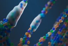 DNA distrofia di Duchenne