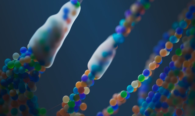 DNA distrofia di Duchenne